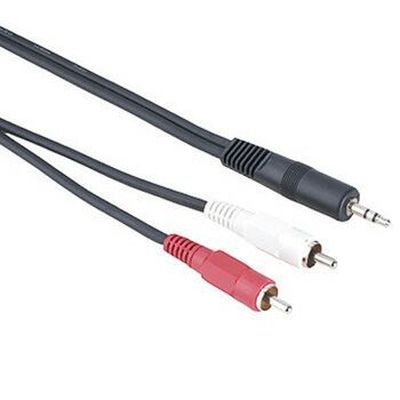 3,5mm Minitele hane till 2 RCA hane 2m