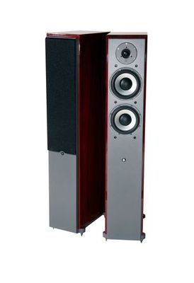 DLS M66 Golvh�gtalare Rosewood
