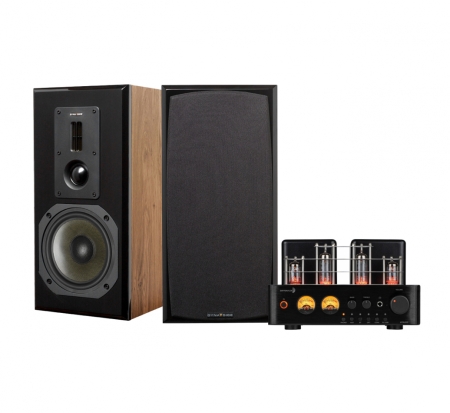 Dayton Audio HTA100 & Dynavoice DM-6II i ek, stereopaket i gruppen Paketlösningar / Paket för hemmet / Stereopaket hos BRL (SETHTA100PKT3)