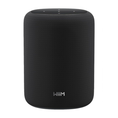 WiiM Sound Lite smart högtalare, svart