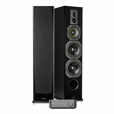 WiiM Amp Pro & Dynavoice Definition DF-8, kraftfullt 2.0 stereopaket