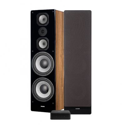 Citation Amp & Dynavoice M-105 i ek, stereopaket