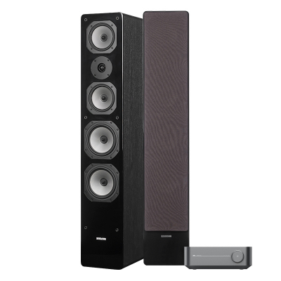 WiiM Amp & Dynavoice Challenger M-65, stereopaket