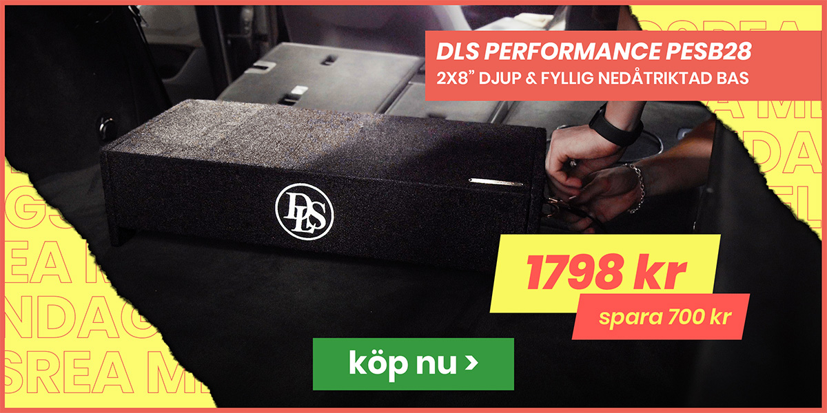 DLS Performance PESB28, 2x8 tums nedåtriktad baslåda