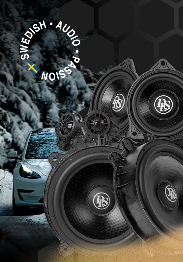 DLS Cruise till Tesla!