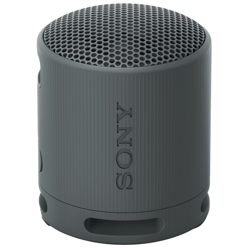 Sony SRS-XB100, bärbar högtalare, svart