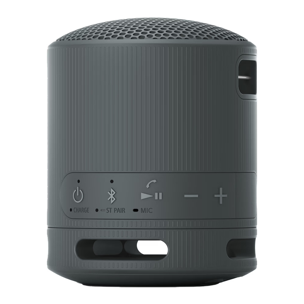 Sony SRS-XB100, bärbar högtalare, svart
