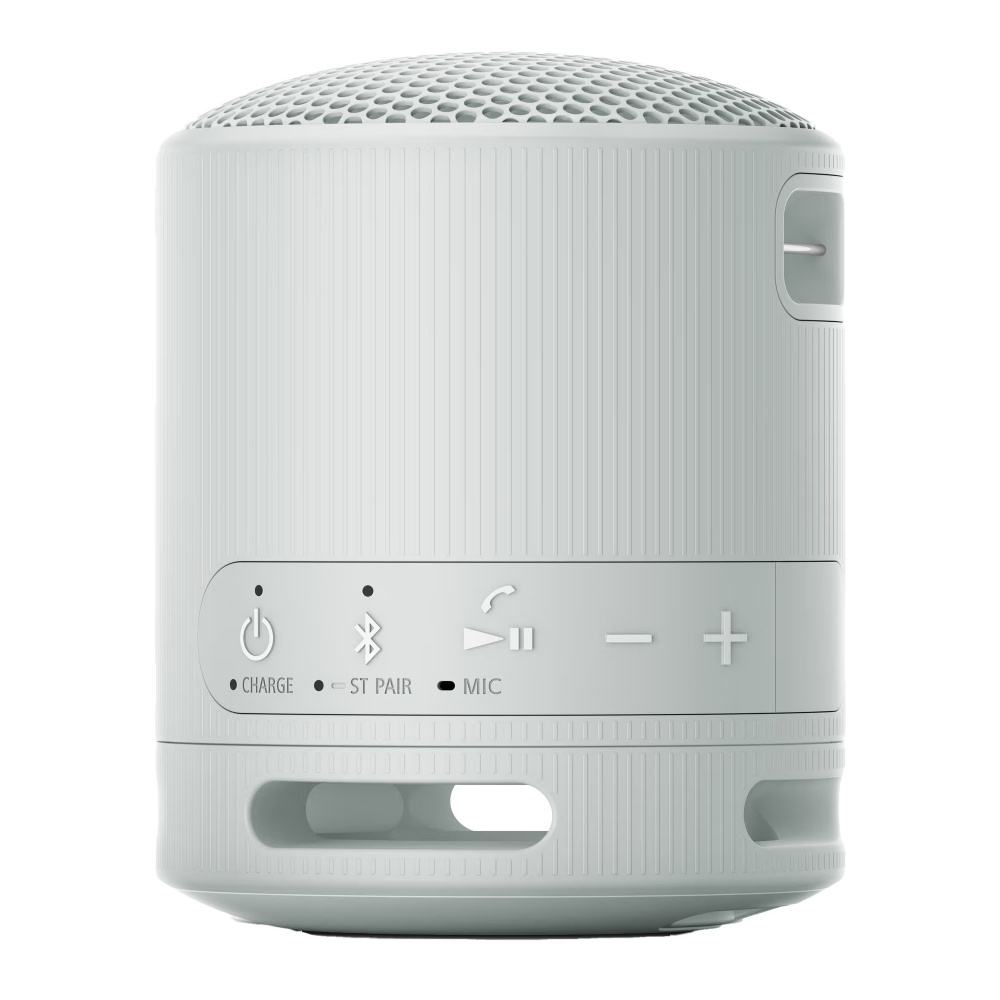 Sony SRS-XB100, bärbar högtalare, grå
