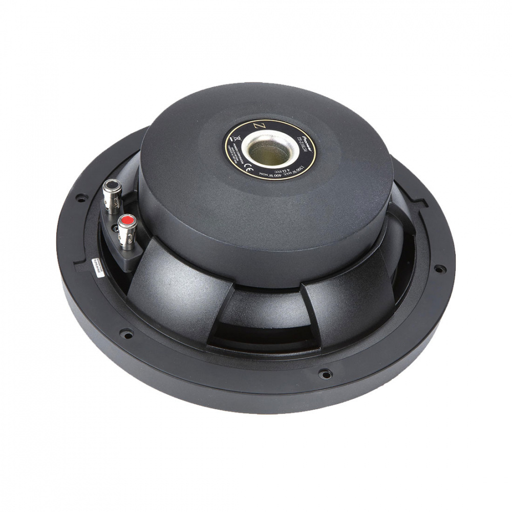 Pioneer TS-Z10LS4 4 Ohm