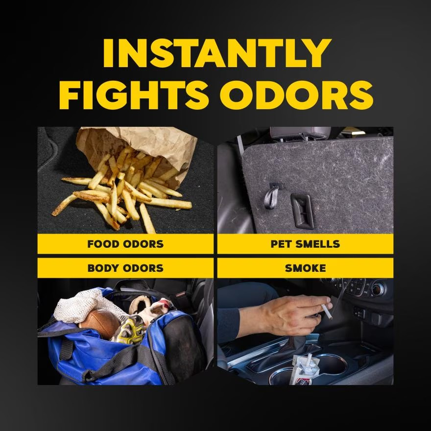 Meguiar's Tropical Rainforest Whole Car Air Re-Fresher