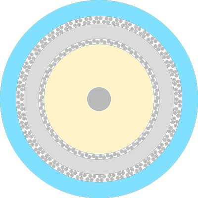 En cirkelformad diagram som visar lagren i en coaxialkabel.