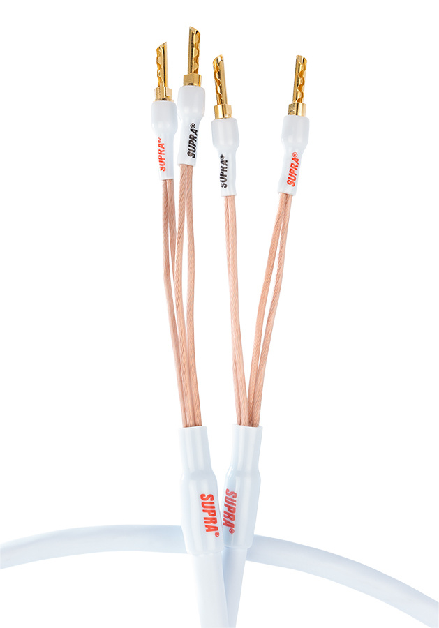 Kabel med två ledningar, guldpläterade kontakter och vit isolering.