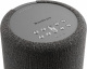 Audio Pro A10 MKII aktiv Wifi-högtalare, mörkgrå styck