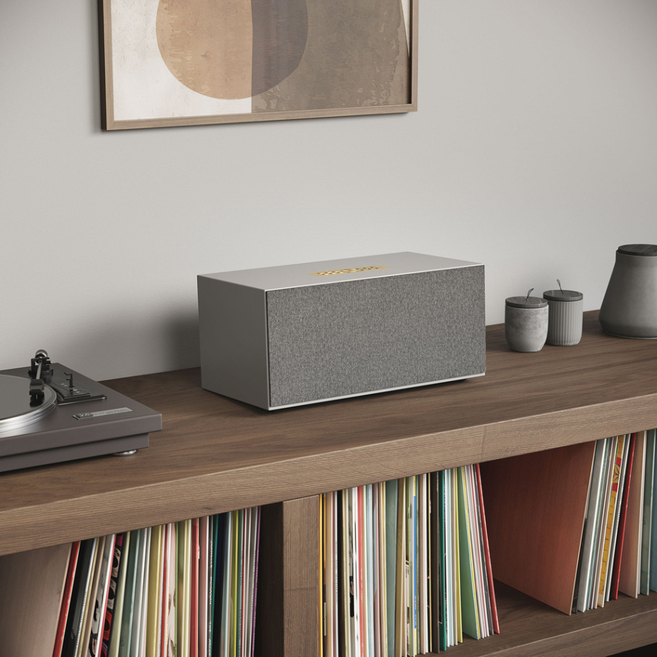 En grå högtalare på ett bord med vinylskivor, en skivspelare och några dekorativa föremål.