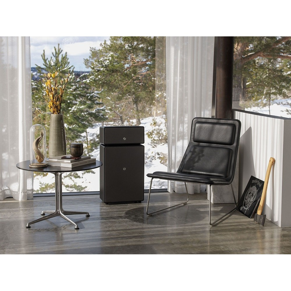 Audio Pro Drumfire II W Wi-Fi-högtalare med Google Cast & AirPlay 2, svart