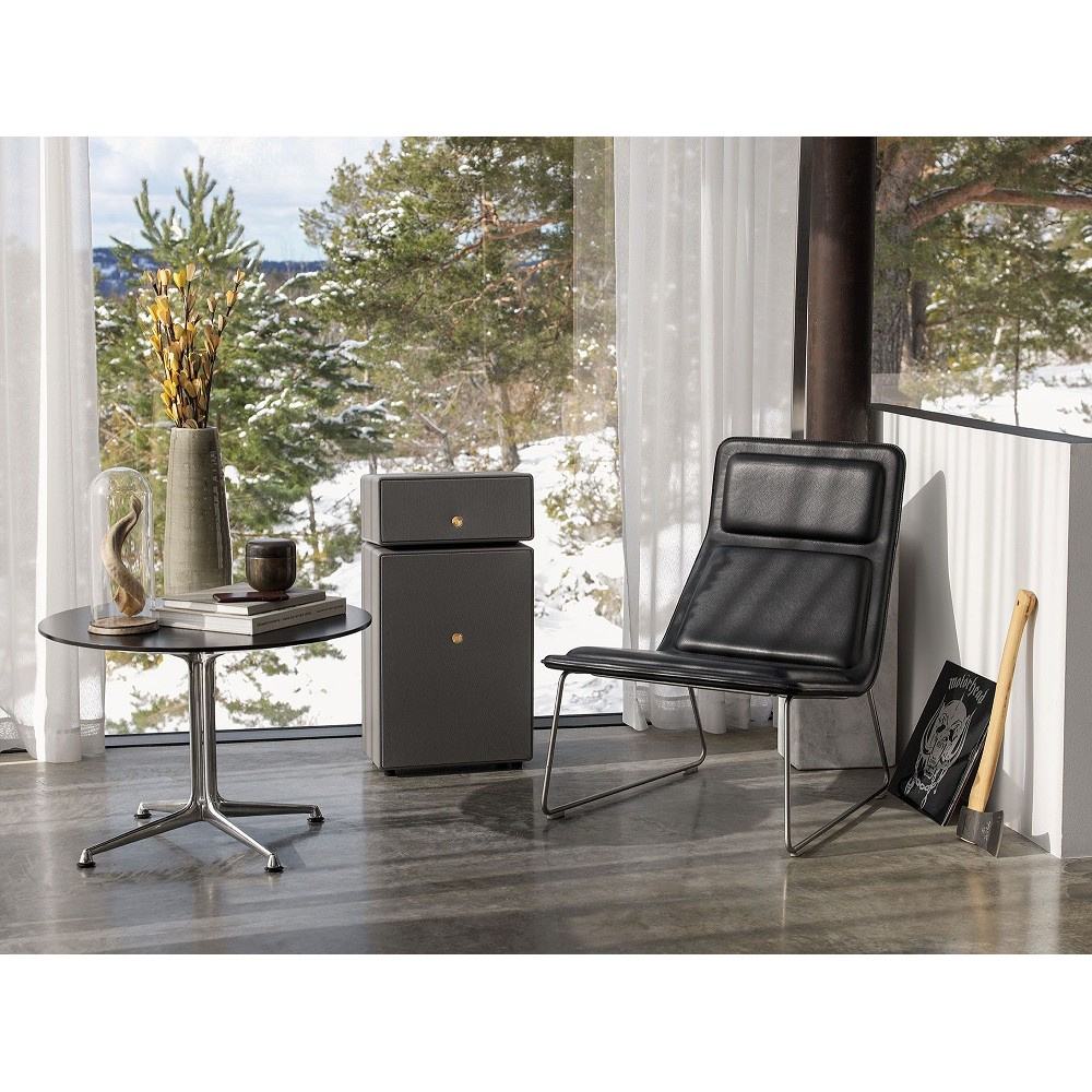 Audio Pro Drumfire II W Wi-Fi-högtalare med Google Cast & AirPlay 2, grå