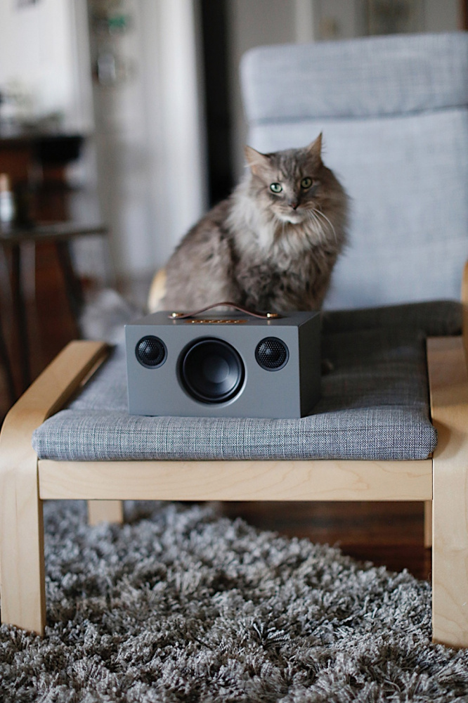 Audio Pro Addon T3+, Bluetooth högtalare