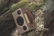 Audio Pro Addon T3+, Bluetooth högtalare Bluetooth-högtalare i kompakt design med läderhandtag och trämaterial.