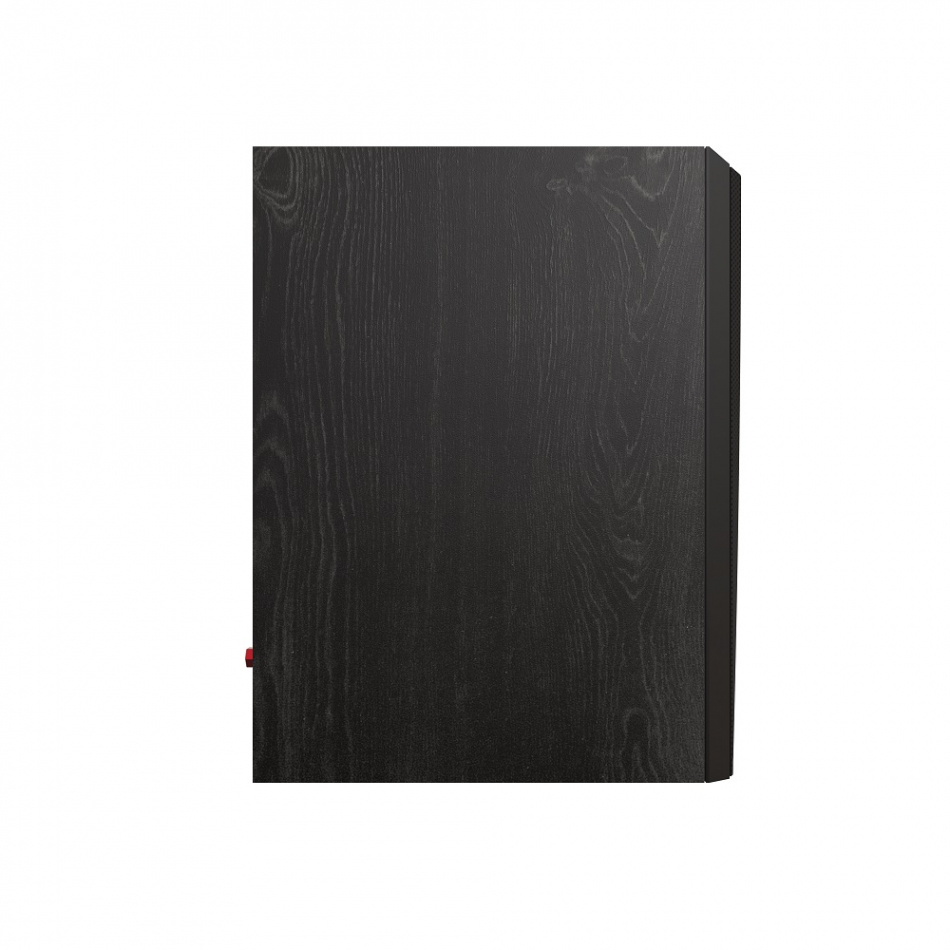 Svart stativhögtalare med en slät, mörk yta och hörn som är rundade.