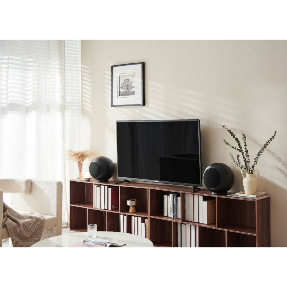 Elipson Planet L Performance mattsvart, styck