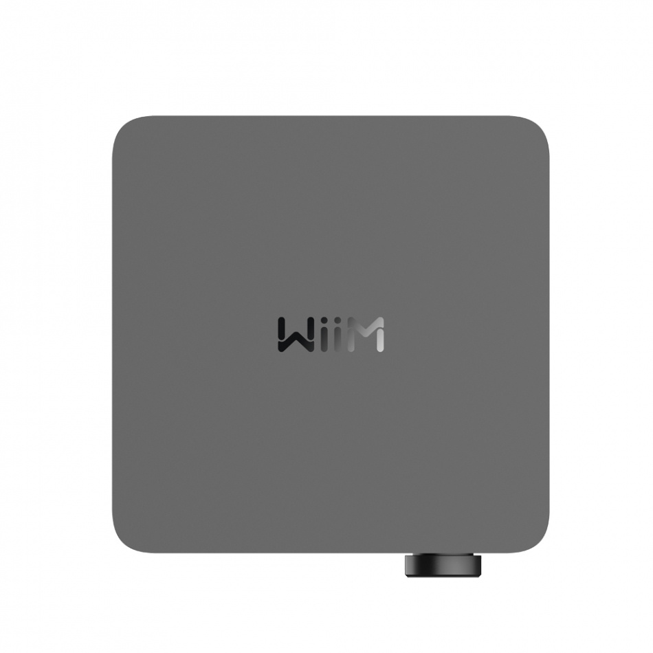 Wiim Amp Ultra streamingförstärkare med HDMI ARC & Chromecast, mörkgrå