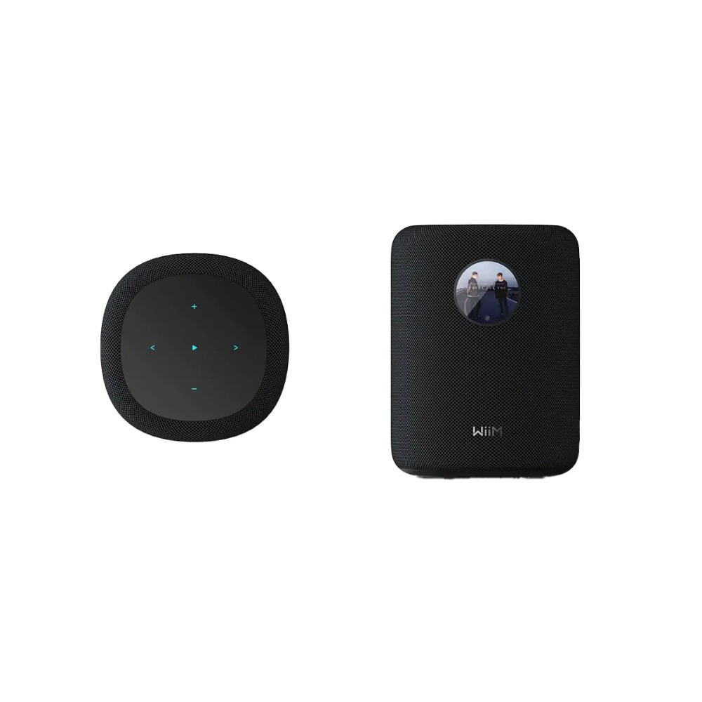 WiiM Sound smart högtalare med skärm, svart