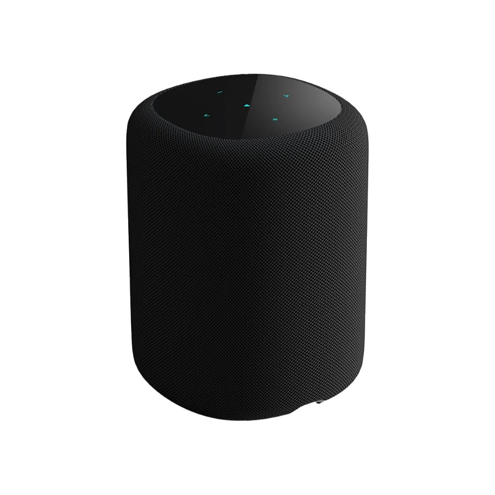 WiiM Sound smart högtalare med skärm, svart