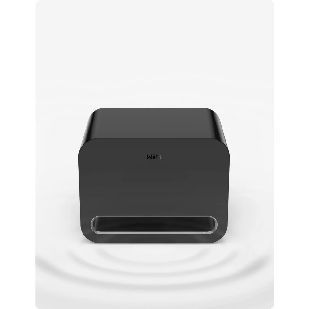 WiiM Sub Pro kompakt trådlös subwoofer, svart