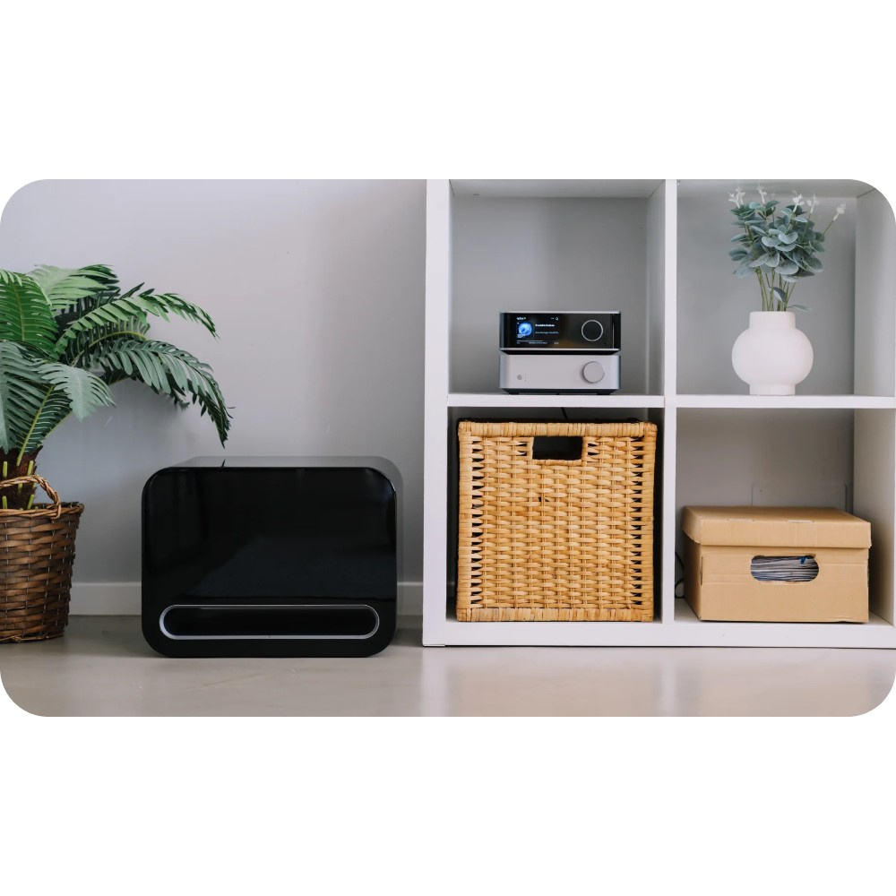 WiiM Sub Pro kompakt trådlös subwoofer, svart