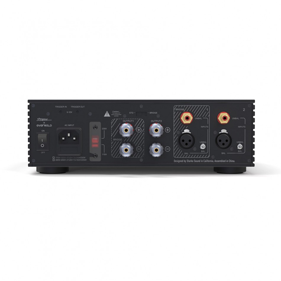 Eversolo AMP-F2, kompakt klass D-stereoslutsteg