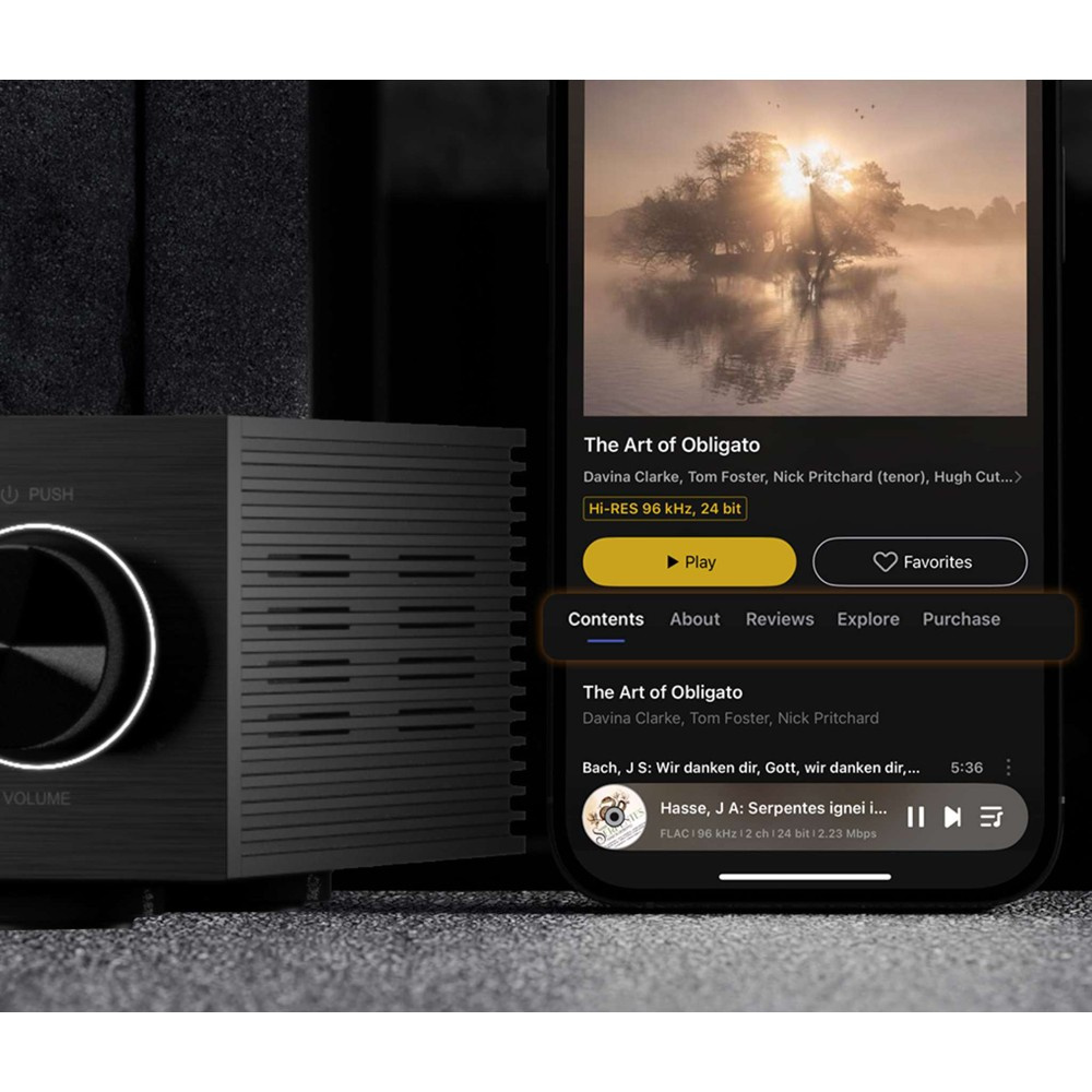 Eversolo DMP-A6 Gen 2 nätverksspelare, svart