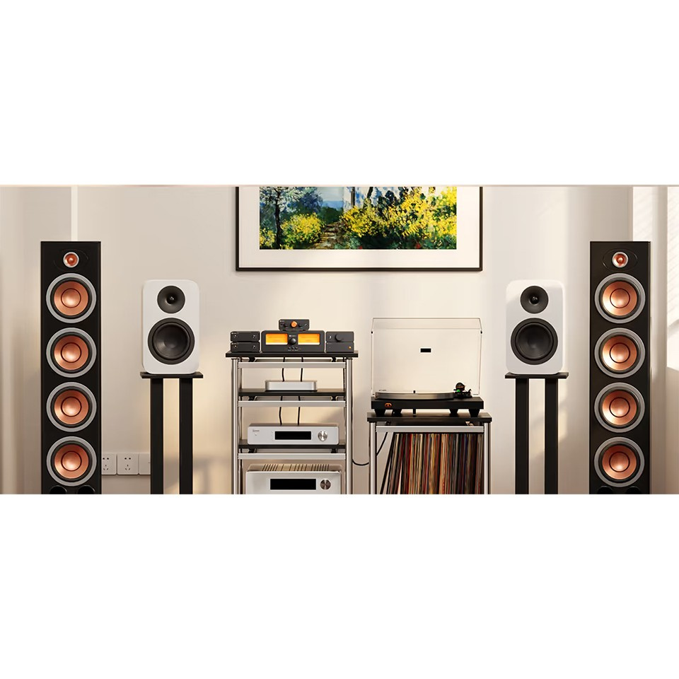 Fosi Audio P4 försteg med tonkontroller