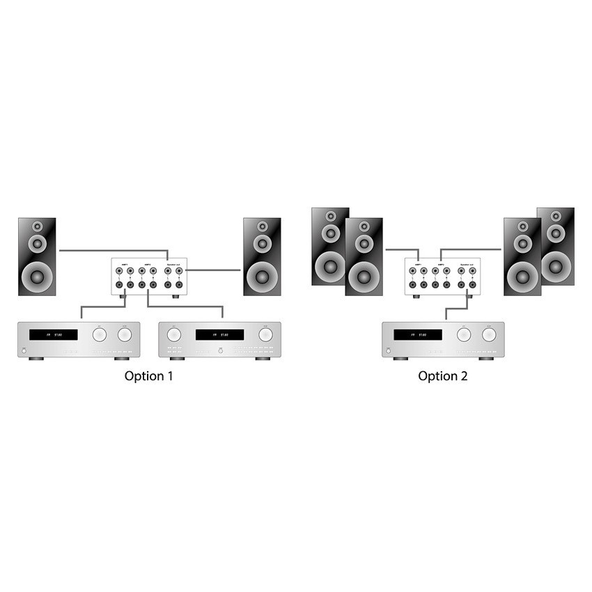 Dynavox AMP-S MKII förstärkaromkopplare, silver