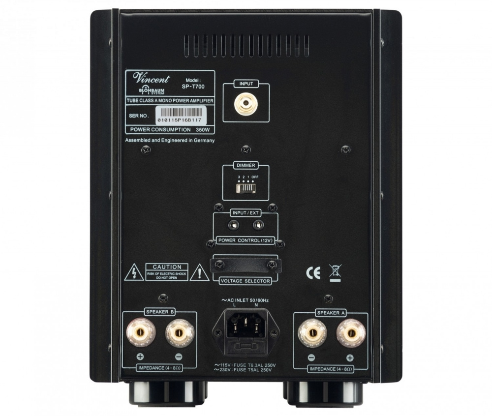 Monoblock förstärkare med rörbaserad ingång och anslutningar för högtalare.