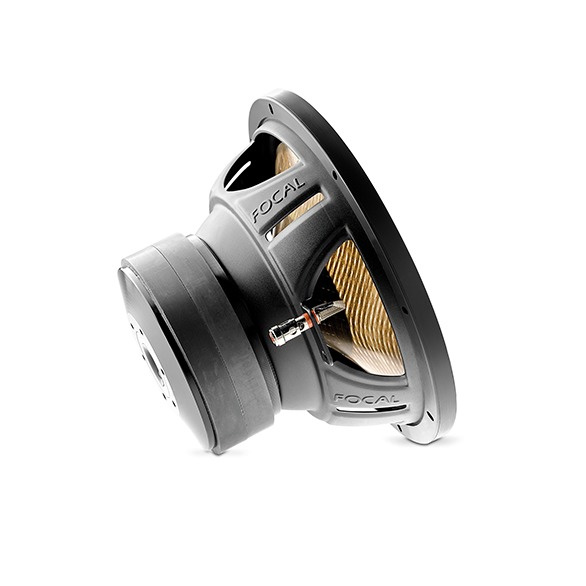 En bilhögtalare med en 10-tums kon och robust design.