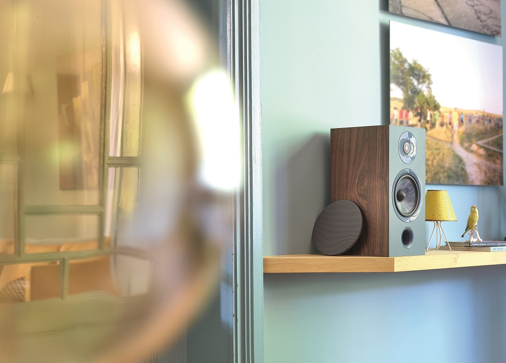 Focal Chora 806 högtalare i mörkt trä på hylla, med dekorationer i bakgrunden.