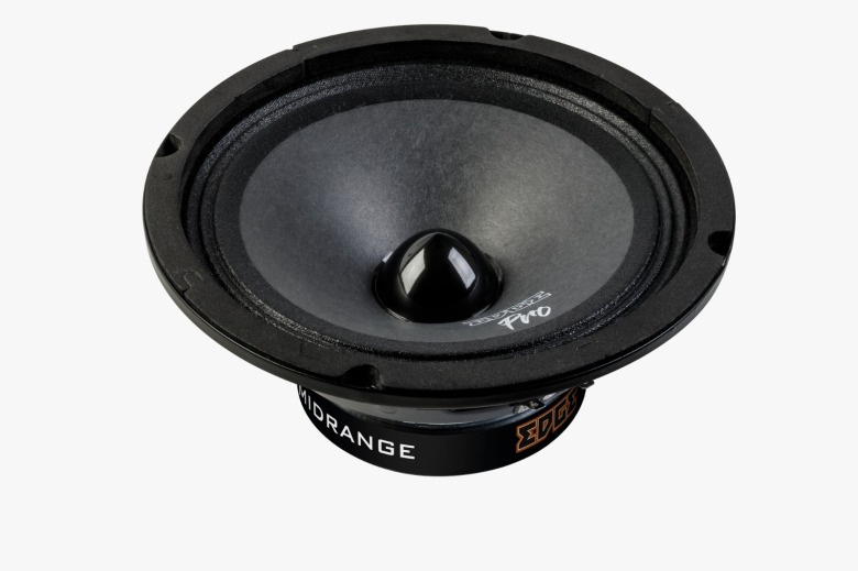 En 8-tums midbas högtalare med kon och centralkälla.