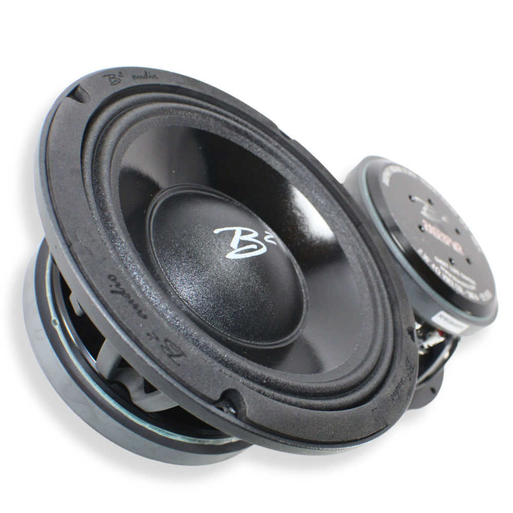 B² Audio RAGE 8PWR 8 tum midbas, par