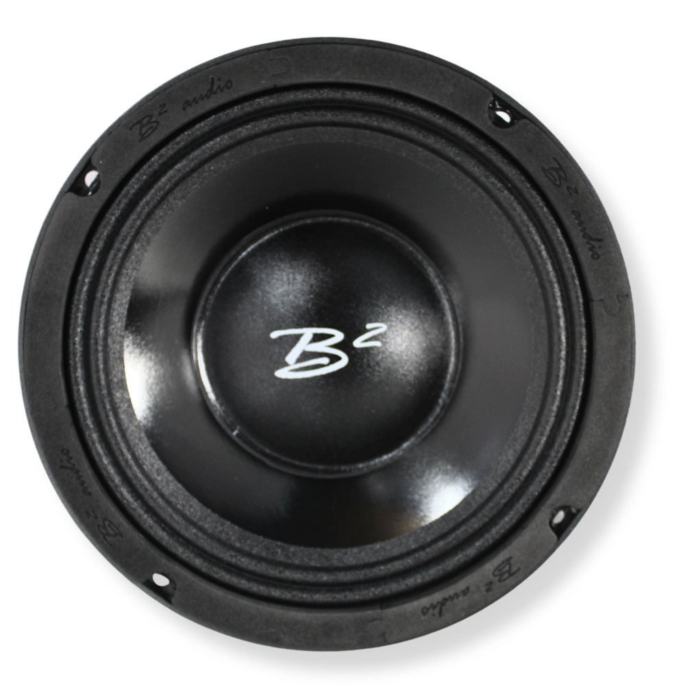 B² Audio RAGE 8PWR 8 tum midbas, par