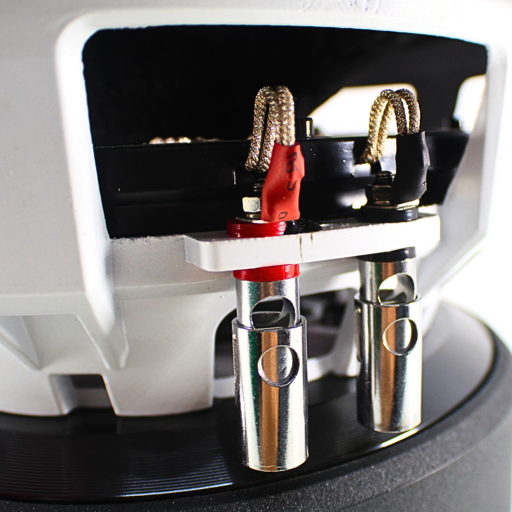 En bakview av ett 10\