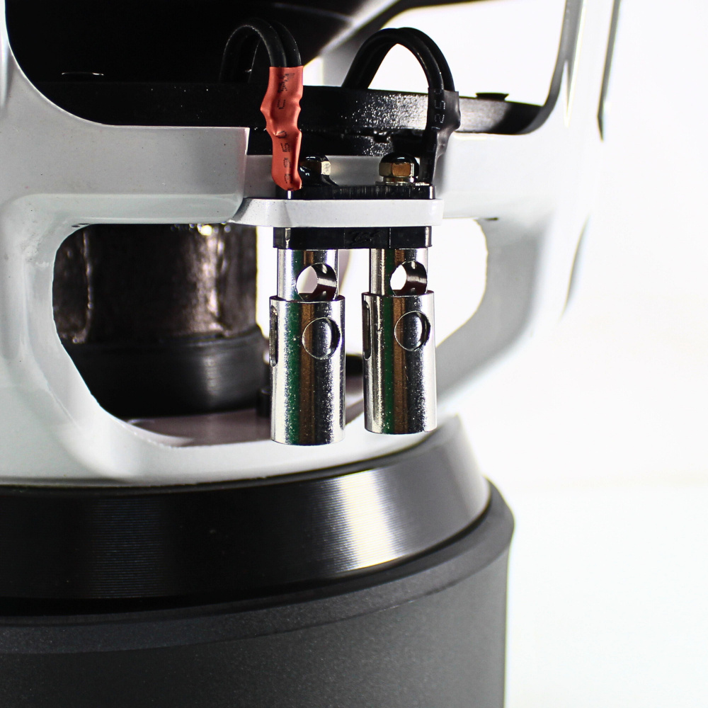 Detalj av ett 12 tum baselement med dubbla spolar och robust konstruktion.