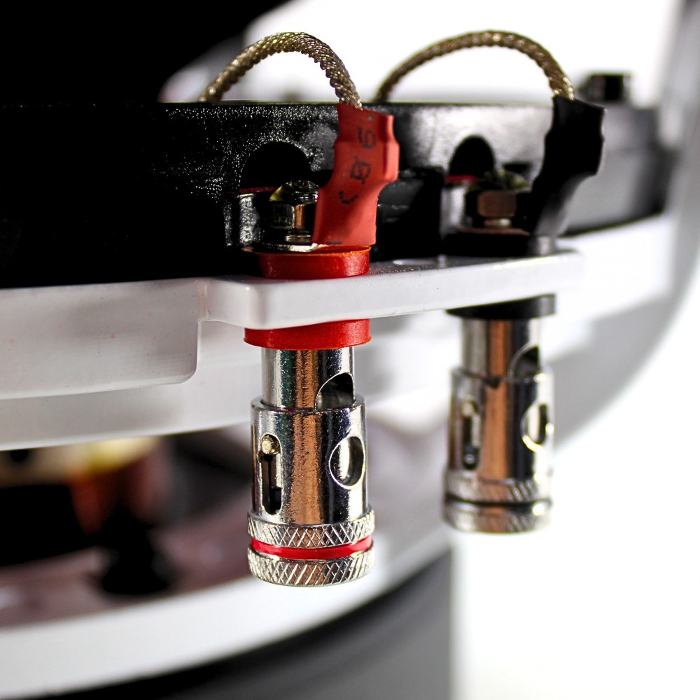 B2 Audio RIOT 12 D2 V3, 2x2 Ohm 12-tums baselement