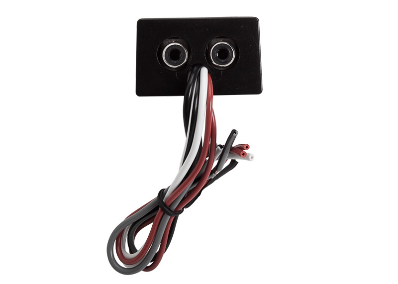 Rockford Fosgate Hög till lågnivå adapter Tvåkanaler