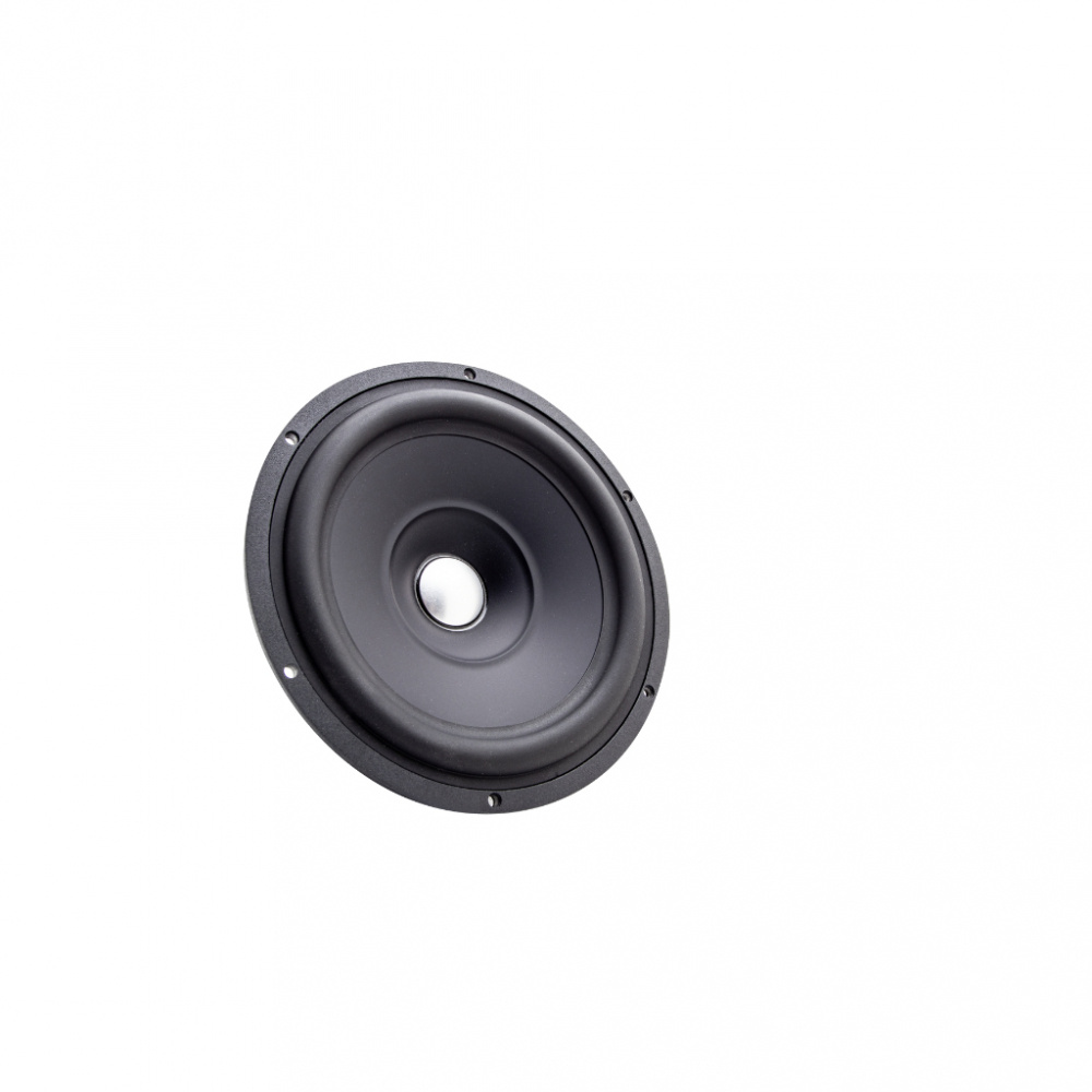 Högtalare med svart kon och rund ram för ljudåtergivning.