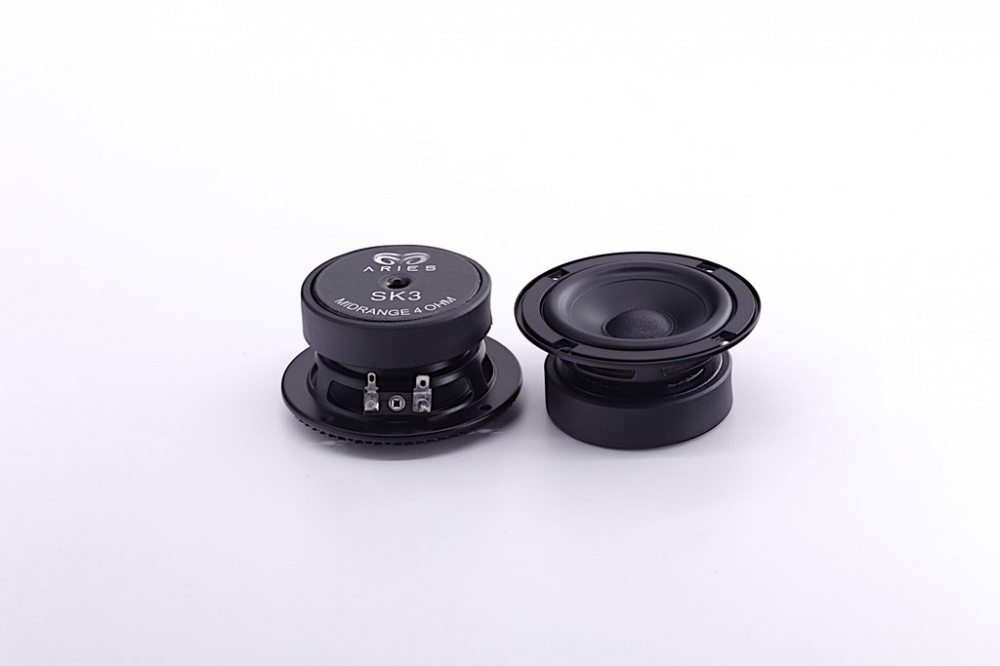 Ett par högtalare i svart, del av Aries SK 3.1 kitsystem.