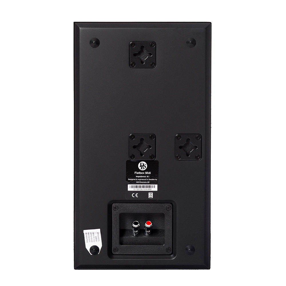 En mattsvart högtalare med anslutningar och väggfästen.