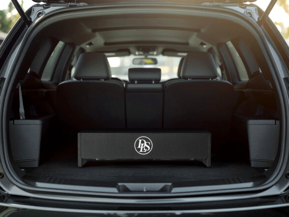 En svart baslåda i en bils bagageutrymme med mörka säten.