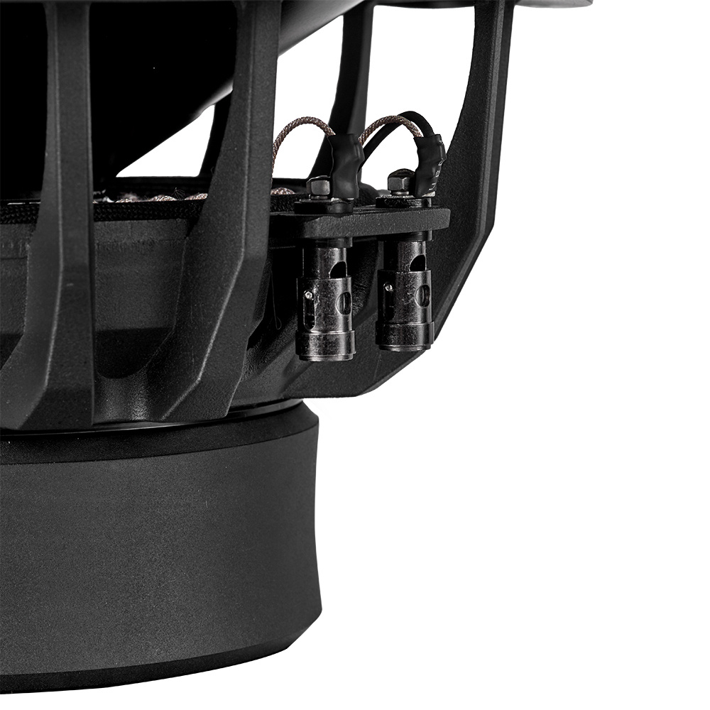 En stor, robust 10-tums bas med anslutningar för ljudöverföring.