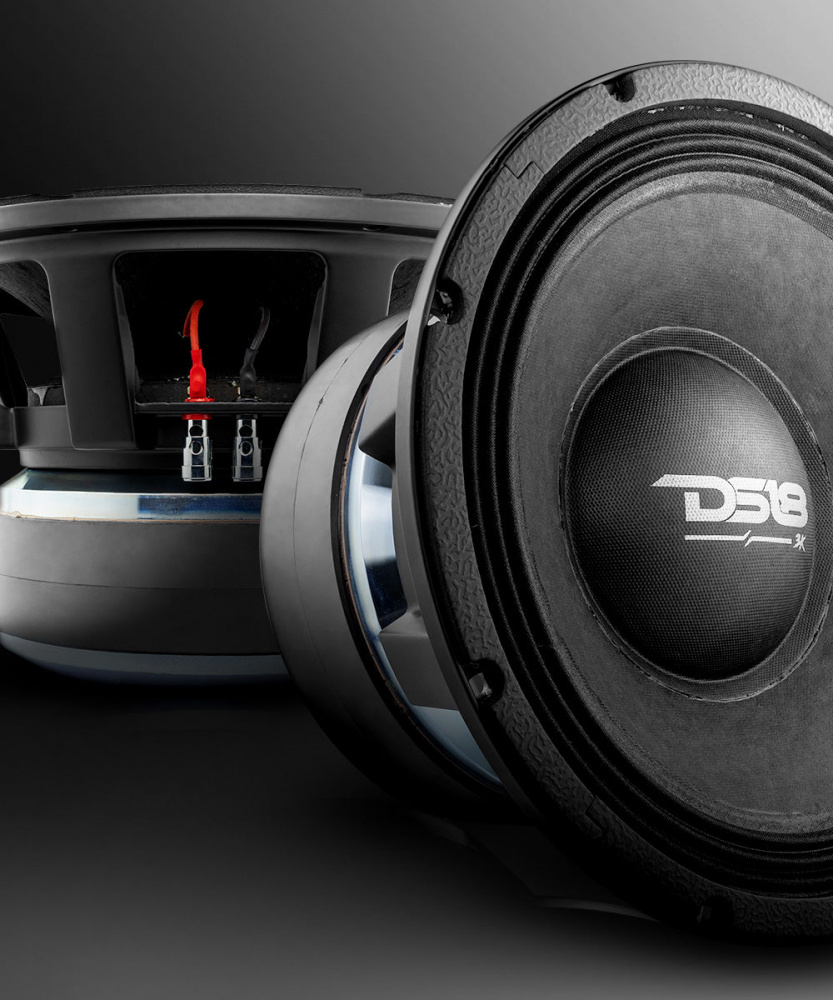 En 12 tums medelbas högtalare från DS18, modell Pancadão PRO-3KP12.2.