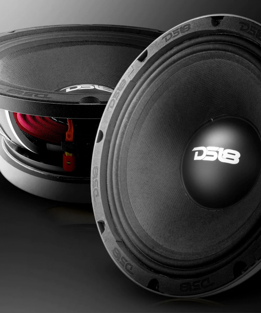 Tung 10 tums midbas med kraftfullt ljud och robust design.